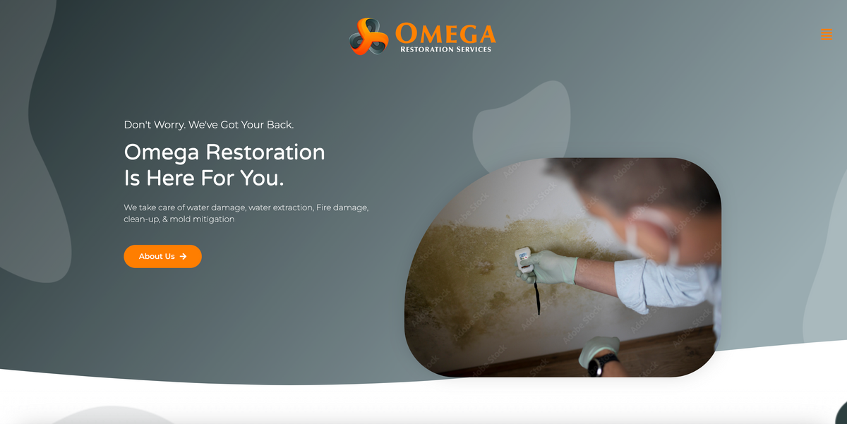 Annual Website Hosting Renewal | Omegarestorations.com